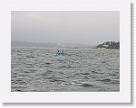 IMG10282 * 4000 x 3000 * (2.65MB)
