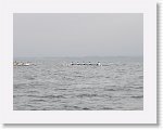 IMG10378 * 4000 x 3000 * (2.59MB)
