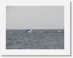 IMG10380 * 4000 x 3000 * (2.31MB)