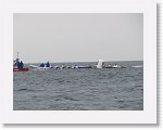IMG10381 * 4000 x 3000 * (2.35MB)