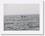 IMG10516 * 4000 x 3000 * (3.0MB)