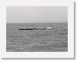 IMG10597 * 4000 x 3000 * (2.6MB)