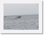 IMG10617 * 4000 x 3000 * (2.39MB)