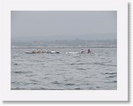 IMG10762 * 4000 x 3000 * (2.26MB)