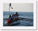 IMG_4080 * 2816 x 2112 * (2.35MB)