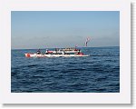 IMG_4125 * 2816 x 2112 * (2.77MB)