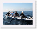 IMG_4131 * 2816 x 2112 * (2.67MB)