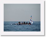 IMG_4256 * 2816 x 2112 * (2.27MB)