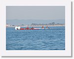 IMG_4149 * 4000 x 3000 * (2.57MB)