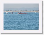 IMG_4293 * 4000 x 3000 * (3.1MB)