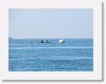 IMG_4318 * 4000 x 3000 * (2.57MB)
