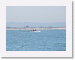IMG_4396 * 4000 x 3000 * (2.37MB)