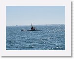IMG_4481 * 4000 x 3000 * (2.99MB)