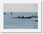 IMG_3027 * 2816 x 2112 * (2.36MB)