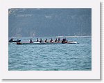 IMG_3135 * 2816 x 2112 * (2.63MB)