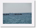 IMG_3141 * 2816 x 2112 * (2.26MB)