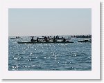 IMG_3159 * 2816 x 2112 * (2.72MB)