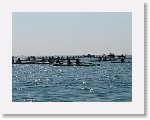 IMG_3160 * 2816 x 2112 * (2.58MB)