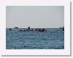 IMG_3175 * 2816 x 2112 * (2.31MB)
