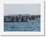 IMG_3201 * 2816 x 2112 * (2.66MB)