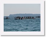 IMG_3204 * 2816 x 2112 * (2.61MB)