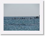 IMG_3237 * 2816 x 2112 * (2.25MB)