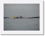 IMG_2662 * 2816 x 2112 * (2.63MB)
