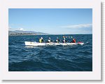 IMG_1585 * 2272 x 1704 * (1.57MB)