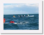 IMG_1586 * 2272 x 1704 * (1.7MB)