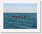 IMG_1785 * 2272 x 1704 * (1.74MB)