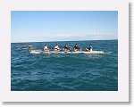IMG_1800 * 2272 x 1704 * (1.67MB)