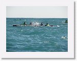 IMG_1814 * 2272 x 1704 * (1.6MB)