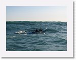 IMG_1883 * 2272 x 1704 * (1.64MB)