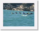 IMG_1896 * 2272 x 1704 * (2.22MB)
