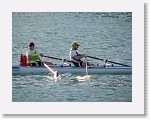 IMG_1974 * 2272 x 1704 * (2.28MB)