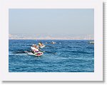 IMG_1699 * 4000 x 3000 * (3.09MB)