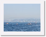 IMG_1794 * 4000 x 3000 * (2.68MB)