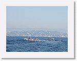 IMG_1796 * 4000 x 3000 * (2.45MB)