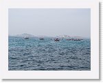 IMG_1987 * 4000 x 3000 * (2.94MB)