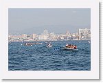 IMG_2178 * 4000 x 3000 * (3.01MB)