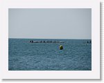 IMG_6976 * 2816 x 2112 * (2.15MB)