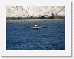 IMG_5380 * 2816 x 2112 * (3.05MB)