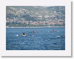 IMG_5720 * 2816 x 2112 * (3.15MB)