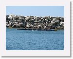 IMG_5838 * 2816 x 2112 * (3.2MB)