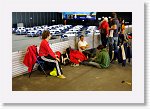 IMG09756R * 4672 x 3104 * (4.81MB)