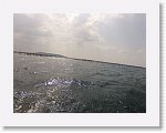 GOP14061_R * 3068 x 2301 * (1.65MB)