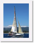IMG_2642_R * 2373 x 3164 * (1.45MB)