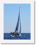 IMG_2726_R * 1778 x 2371 * (750KB)