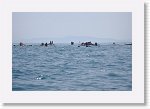IMG09771_R * 4537 x 3012 * (1.57MB)