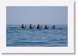 IMG09911_R * 3635 x 2415 * (960KB)